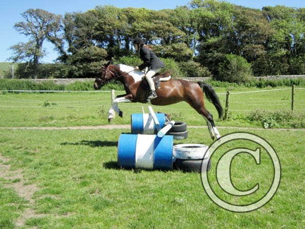 22 July Yard Show (76)