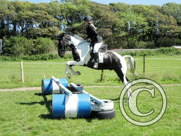 22 July Yard Show (77)