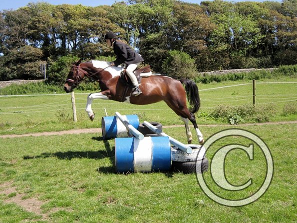 22 July Yard Show (78)