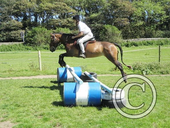 22 July Yard Show (79)