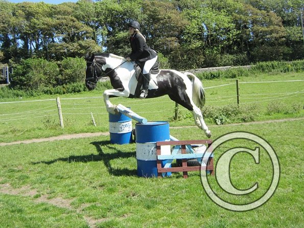 22 July Yard Show (80)