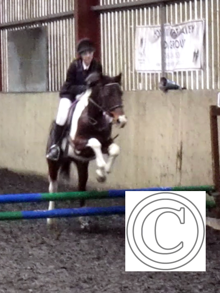 vlcsnap-2010-11-07-22h08m54s171