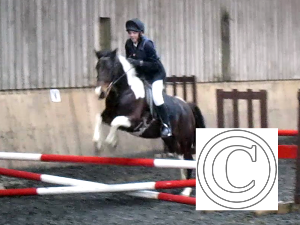 vlcsnap-2010-11-07-22h10m15s212