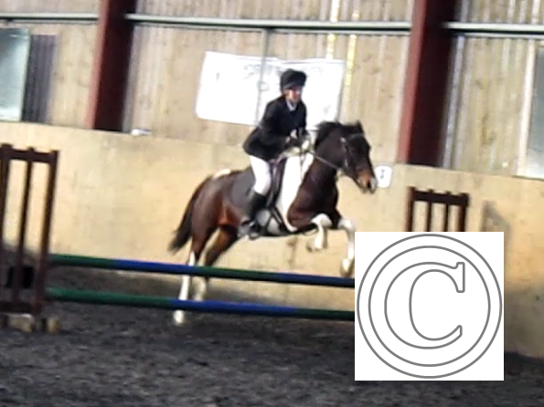 vlcsnap-2010-11-07-22h11m13s24