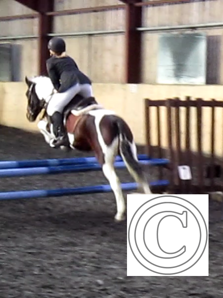 vlcsnap-2010-11-07-22h13m17s241