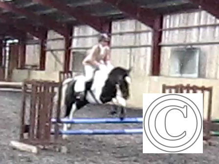 vlcsnap-2010-11-07-22h16m14s222