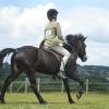 Ridden novice canter 2