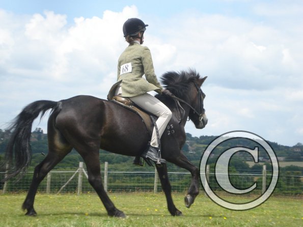 Ridden novice canter 2