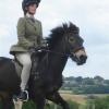 Ridden novice canter 3