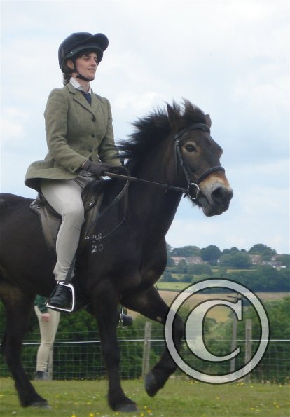 Ridden novice canter 3