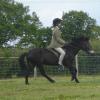 Ridden novice canter