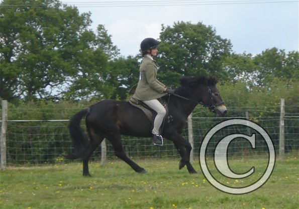 Ridden novice canter