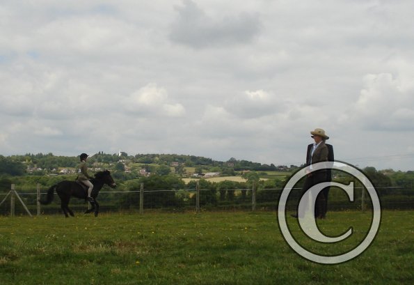 Ridden novice judging