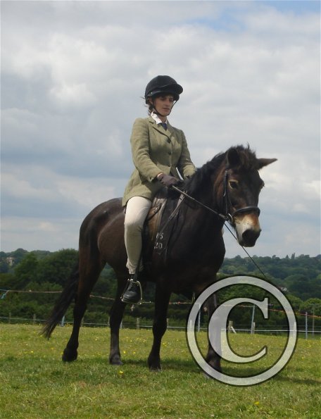 Ridden novice trot