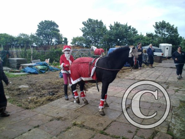 Monty the red nose reindeer