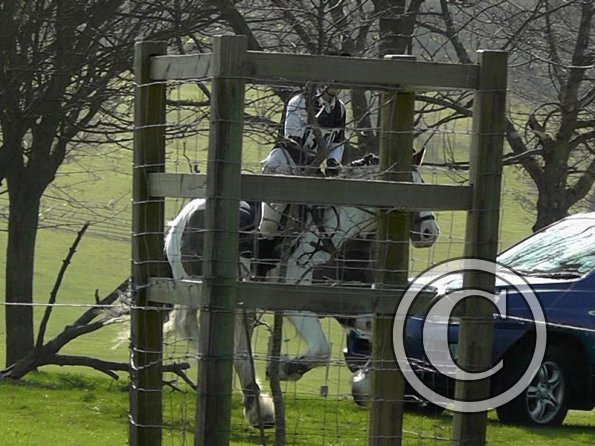 Lance cantering (13)