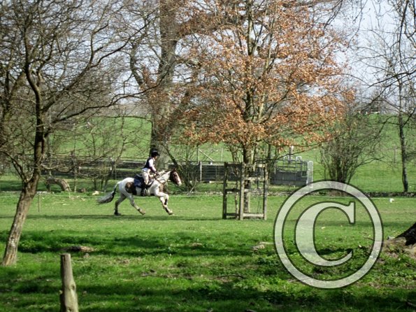 Lance gallop through forest