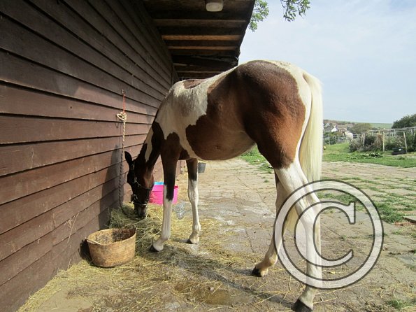 Getting ready on the yard