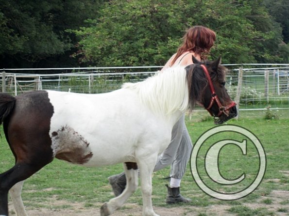 Underrated Tilly (2)