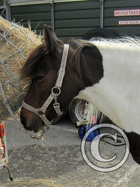 Underrated Tilly (3)