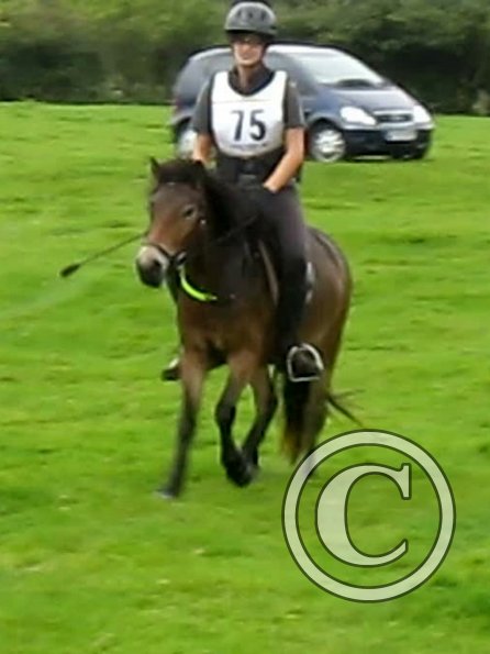 Appley canter