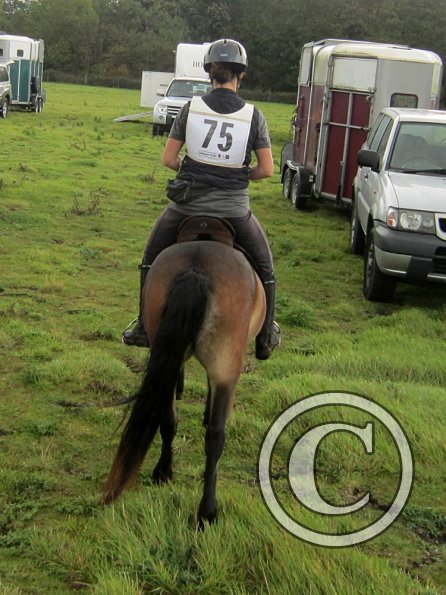 Appley in the lorrypark