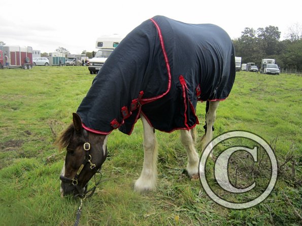 Ready to go home (2)