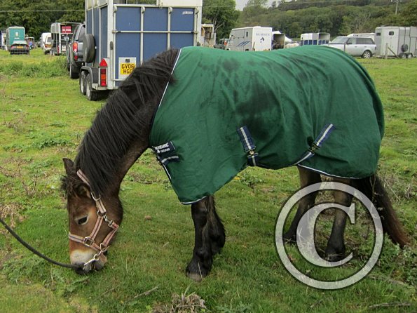 Ready to go home (3)