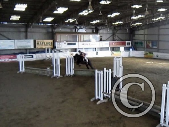 Rhianna in thew ring (2)