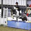 Golden X jumping (10)