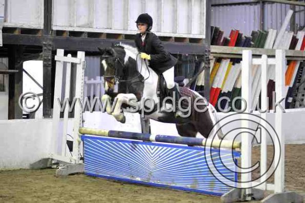 Golden X jumping (10)