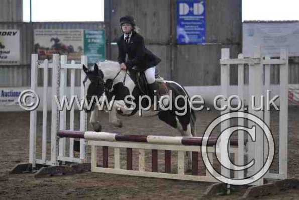 Golden X jumping (11)