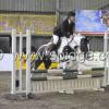 Golden X jumping (12)