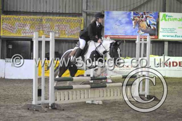 Golden X jumping (12)