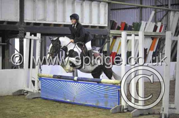 Golden X jumping (15)