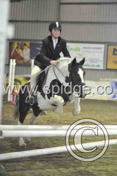 Golden X jumping (16)