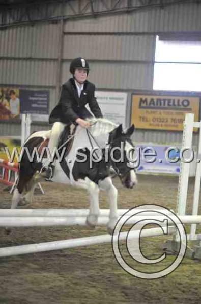 Golden X jumping (17)