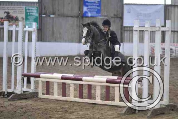 Golden X jumping (18)