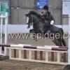 Golden X jumping (19)