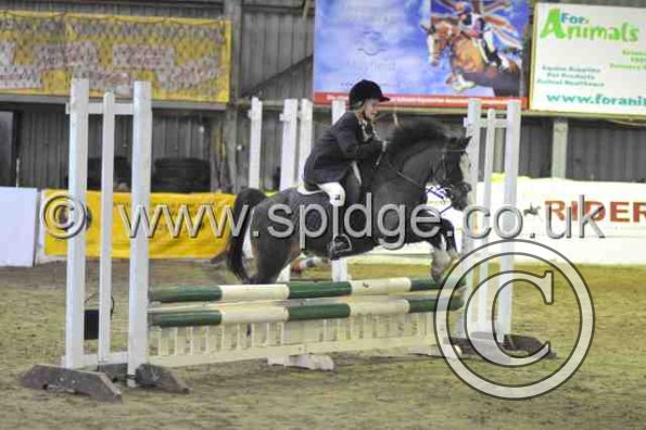 Golden X jumping (20)