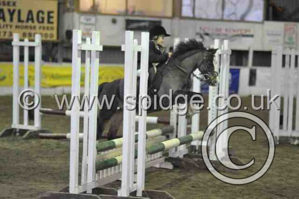 Golden X jumping (21)