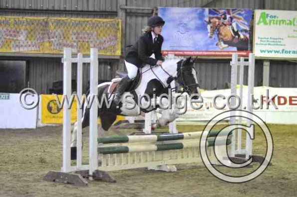 Golden X jumping (3)