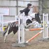 Golden X jumping (6)