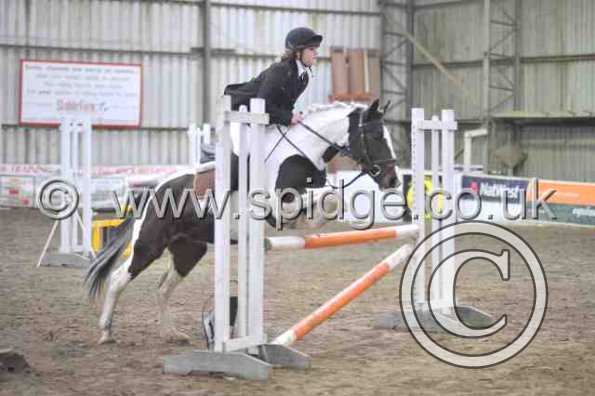 Golden X jumping (6)