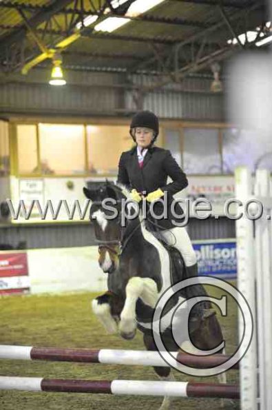 Golden X jumping (7)