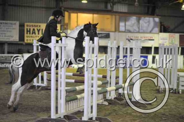 Golden X jumping (8)