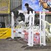 Golden X jumping (9)