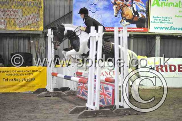 Golden X jumping (9)