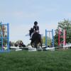 Hickstead 2013 (17)