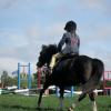 Hickstead 2013 (19)